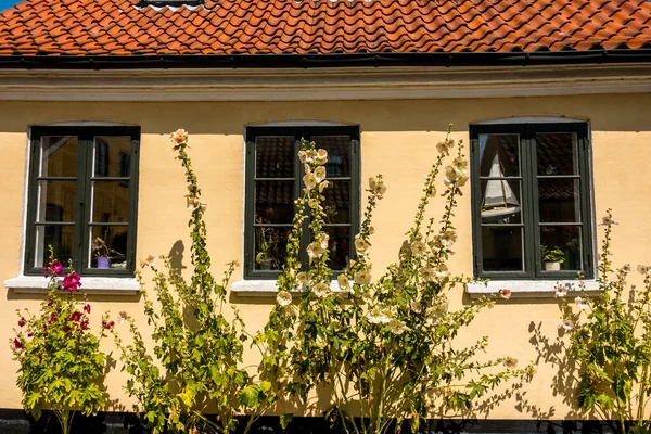 Kopenhagen Denemarken Juli 2019 Prachtige Deense Architectuur Een Pittoresk Dorp — Stockfoto