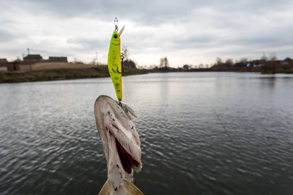 湖で釣り 釣りの背景 — ストック写真