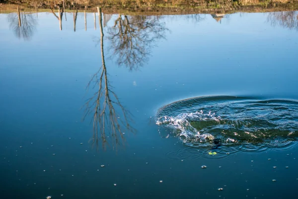 Pesca Alla Trota Sul Lago Pesca Sportiva Attività All Aria — Foto Stock