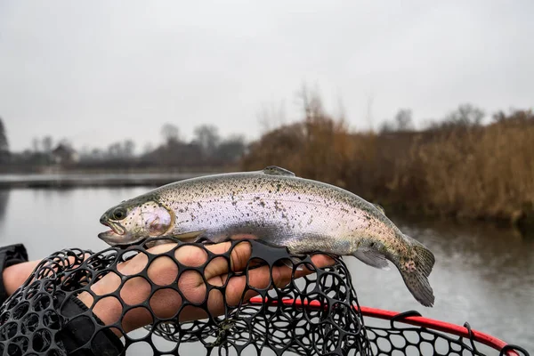 Fishing Fishing Lake — Stock Photo, Image