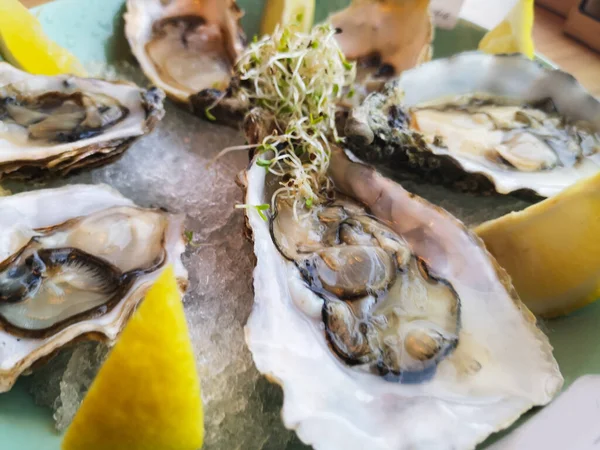 Ostras Mesa Delicioso Almuerzo — Foto de Stock