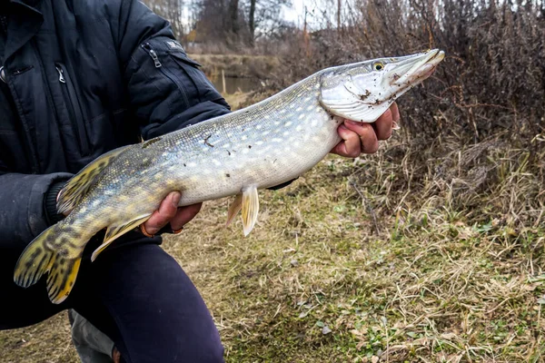 Pêche Sur Lac Contexte Pêche — Photo