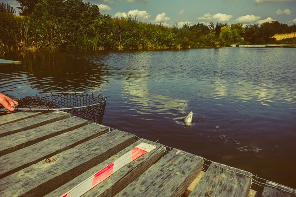 Fiske Sjön Bakgrunden — Stockfoto