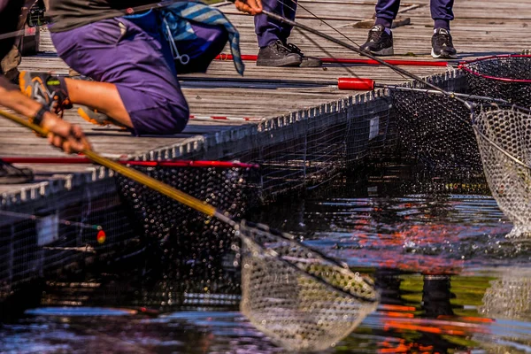 Fundo Pesca Truta Natural — Fotografia de Stock