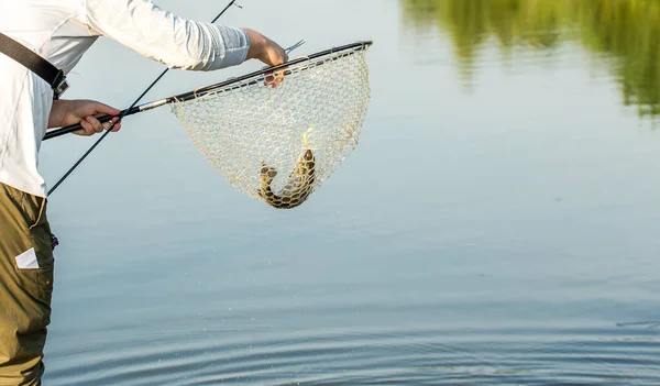 Torneio Pesca Recreação Natureza Fundo — Fotografia de Stock