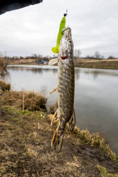 Angeln Auf Dem See Hintergrund Der Fischerei — Stockfoto