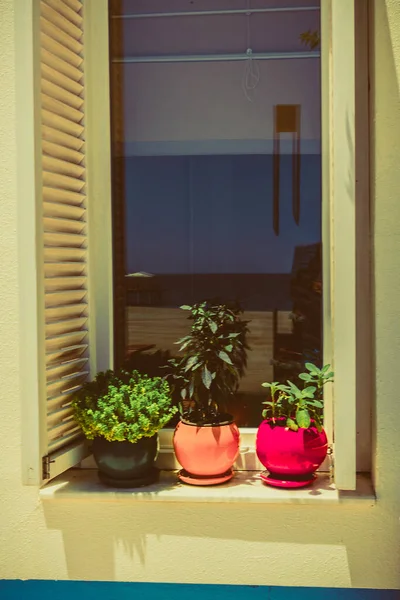 Hermosa Ventana Con Macetas —  Fotos de Stock