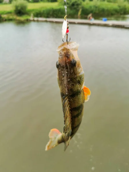 Pêche Dans Lac Nature Loisirs Fond — Photo