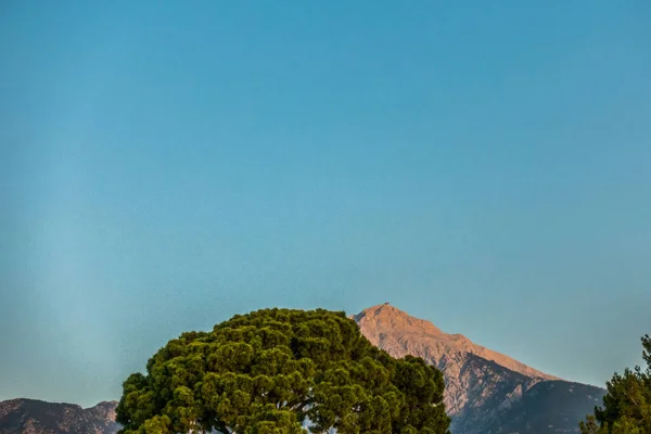 Magnifica Alba Sul Mare — Foto Stock