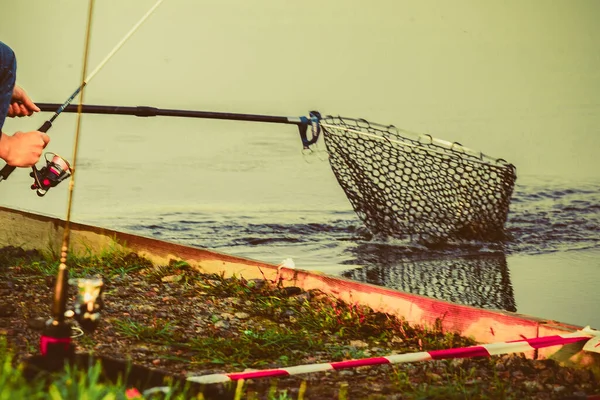 Naturlig Öring Fiske Bakgrund — Stockfoto