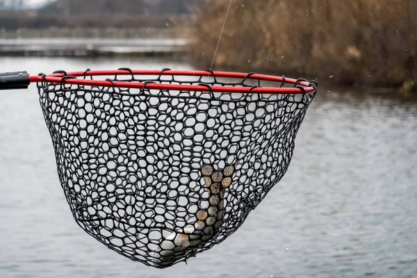 Рыбалка Рыбалка Озере — стоковое фото