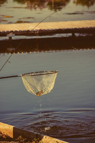Pesca Alla Trota Naturale Fondo — Foto Stock