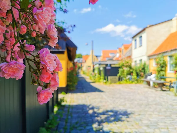 Vacker Havsby Danmark — Stockfoto