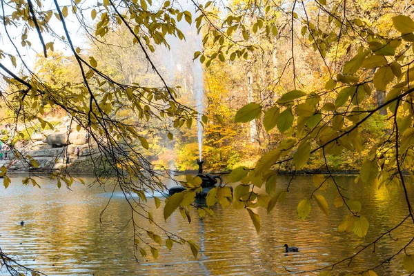 Hermoso Otoño Hermoso Parque Histórico — Foto de Stock