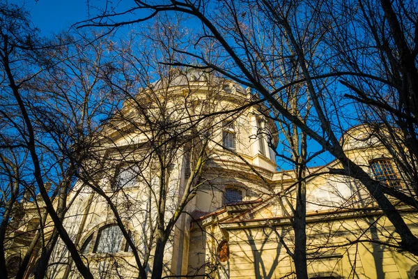 Magnifique Hiver Lviv Architecture Rues — Photo