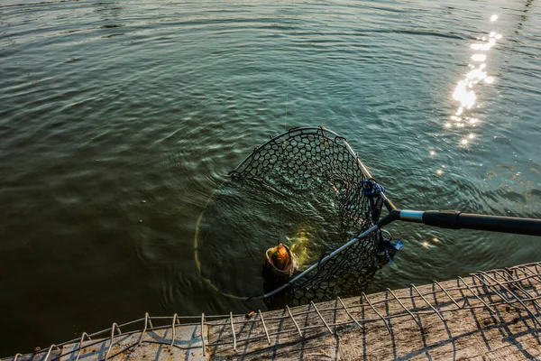 Boa Pesca Captura Fundo — Fotografia de Stock