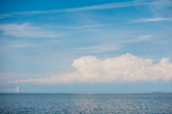 Красивий Підводний Світ Моря Рибних Водоростей — стокове фото