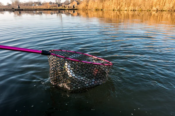 Rybolov Pstruhů Jezeře Sportovní Rybolov Outdoorové Aktivity — Stock fotografie