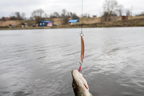 湖で釣り 釣りの背景 — ストック写真