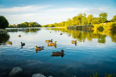 Kopenhag 'daki güzel şehir göleti