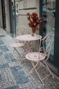 Güz Prag 'ın güzel sokakları ve mimarisi