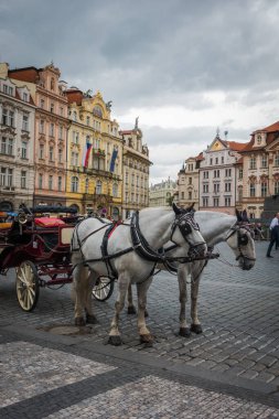 Güz Prag 'ın güzel sokakları ve mimarisi