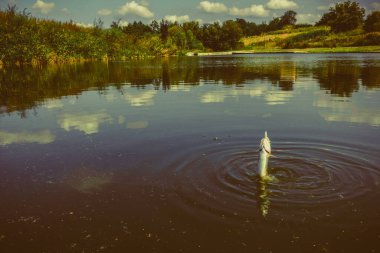 Gölde balık tutmak.