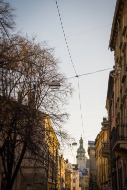 Muhteşem kış Lviv mimarisi ve sokakları