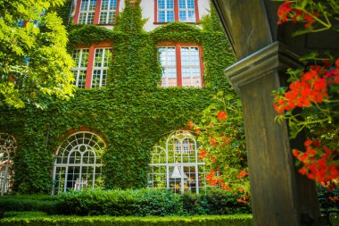 Wrocaw, Polonya - 17 Haziran 2019. Eski Polonya şehrinin mimarisi.