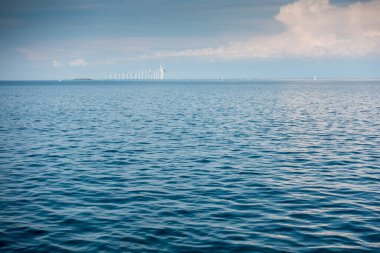 Balık yosunlarının güzel sualtı dünyası