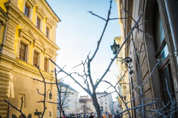 Υπέροχο Χειμώνα Lviv Αρχιτεκτονική Και Δρόμους — Φωτογραφία Αρχείου