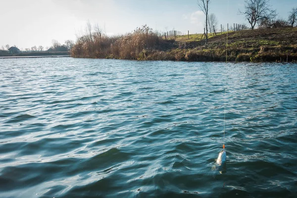 Pesca Alla Trota Sul Lago Pesca Sportiva Attività All Aria — Foto Stock