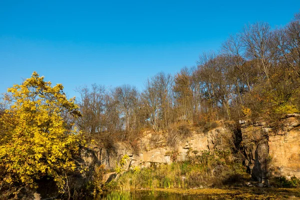 Hermoso Otoño Hermoso Parque Histórico — Foto de Stock