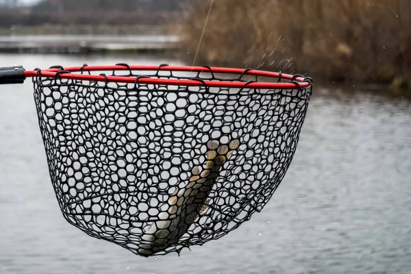 Рыбалка Рыбалка Озере — стоковое фото