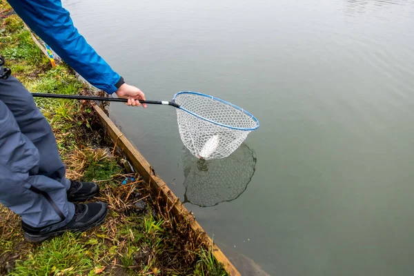 Rybolov Pstruhů Jezeře Sportovní Rybolov Outdoorové Aktivity — Stock fotografie