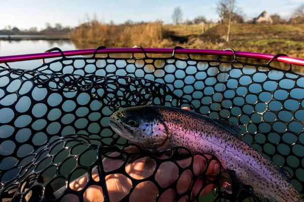 Fishing Fishing Lake — Stock Photo, Image