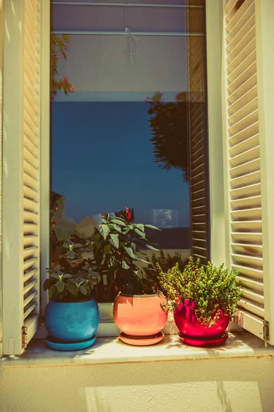 Beautiful Window Pots — Stock Photo, Image