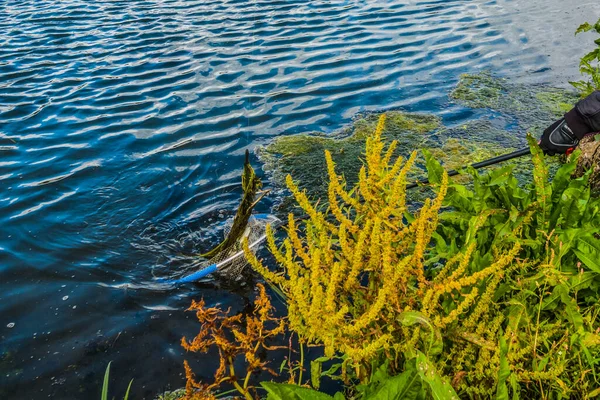 Visserij Achtergrond Lake — Stockfoto