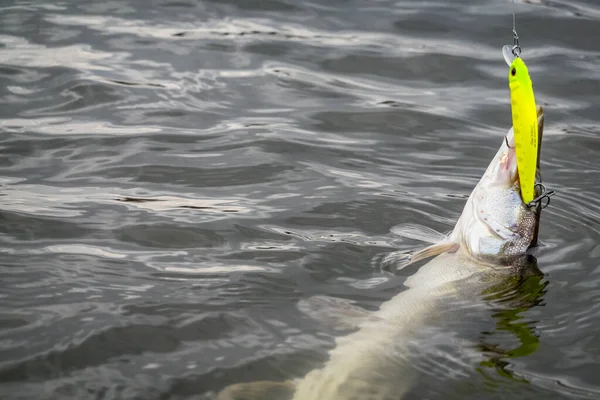 Риболовля Озері Рибальський Фон — стокове фото