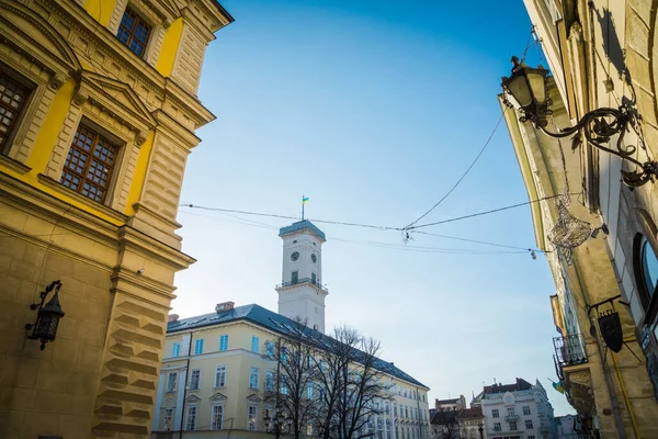 Muhteşem kış Lviv mimarisi ve sokakları
