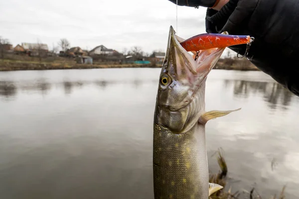 Pescar Lago Fundo Pesca — Fotografia de Stock