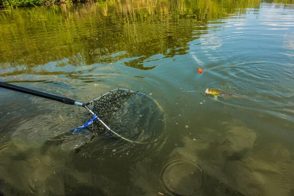 Buen Fondo Captura Pesca — Foto de Stock