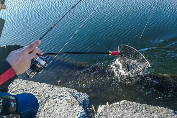 Pesca Lúcio Lago Recreação Pesca — Fotografia de Stock