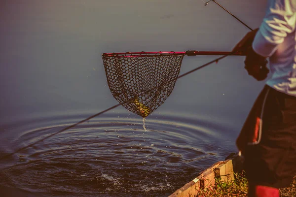 Fondo Natural Pesca Trucha — Foto de Stock