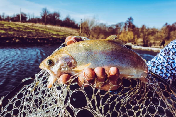 湖でのマス釣り — ストック写真