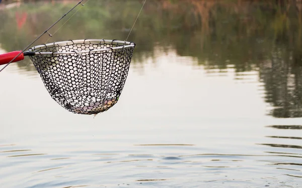 Trucha Pesca Fondo Viaje Fondo — Foto de Stock