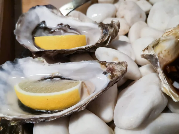 Oesters Met Citroen Tafel — Stockfoto