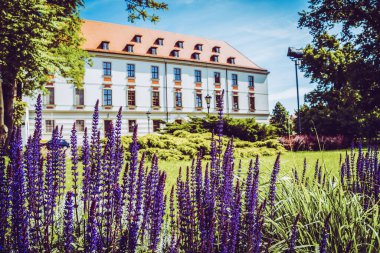 Wroclaw 'ın güzel kiliseleri. Çekicilik, Avrupa 'da seyahat