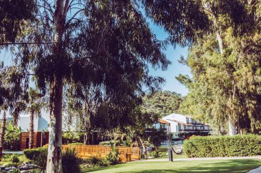 Güzel tatil beldesi. Yeşil ve çiçekler