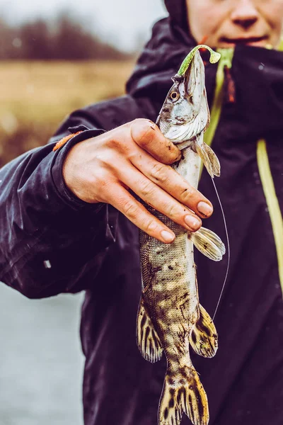 Pesca Del Luccio Sul Lago Attività Ricreative Pesca — Foto Stock